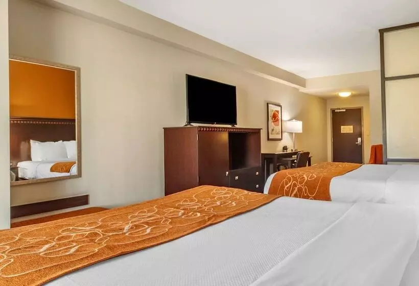 スイート, Comfort Suites Knoxville West  Farragut