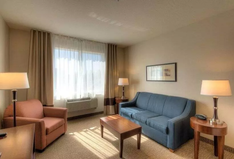 スイート, Comfort Suites Springfield Riverbend Medical
