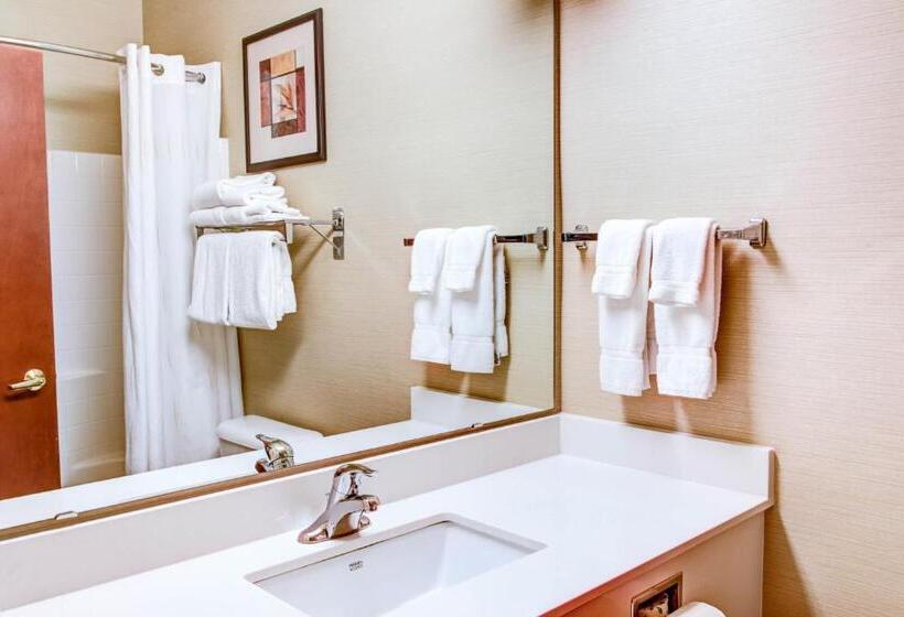 Люкс Кровать Кинг, Comfort Suites Springfield Riverbend Medical