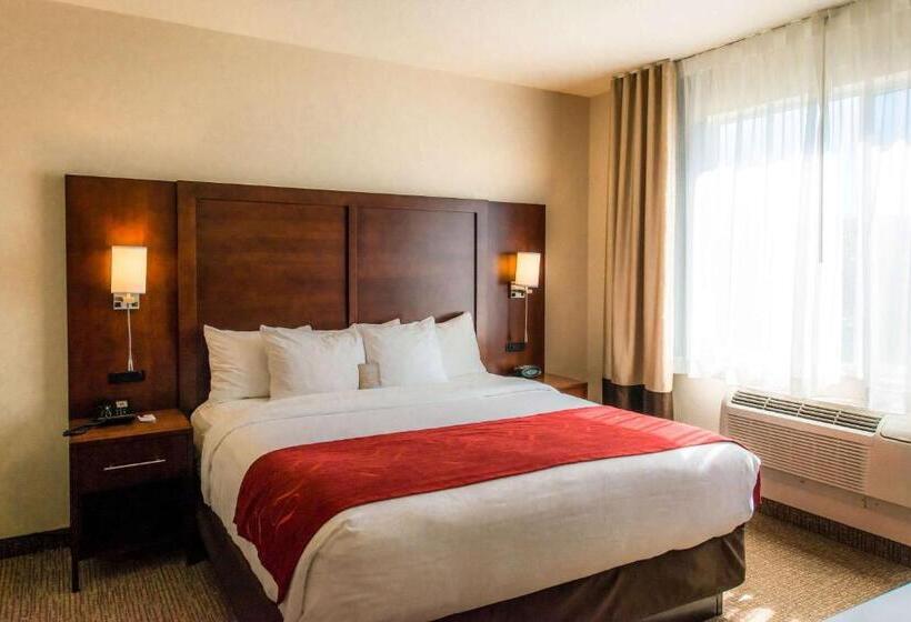 جناح سرير كينج, Comfort Suites Springfield Riverbend Medical