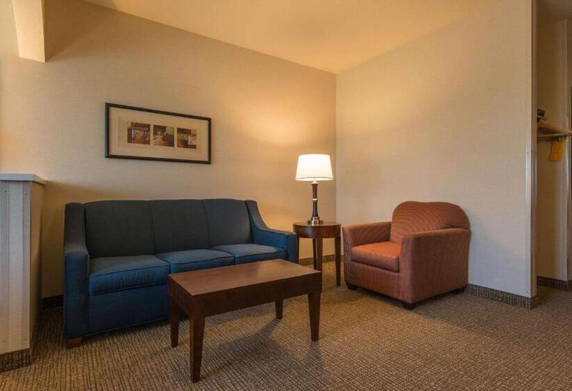 جناح سرير كينج, Comfort Suites Springfield Riverbend Medical