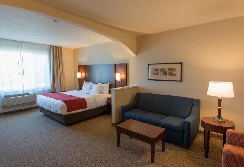 Люкс Кровать Кинг, Comfort Suites Springfield Riverbend Medical