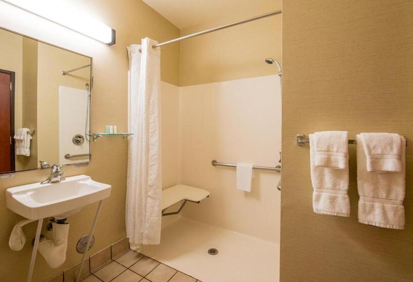 Люкс Адаптированный для Инвалидов, Comfort Suites Springfield Riverbend Medical