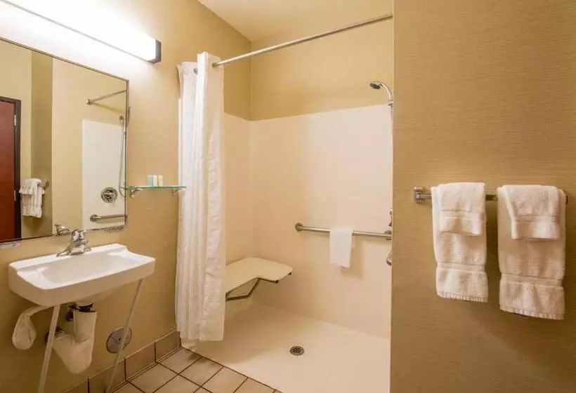 身障者適用スイートルーム, Comfort Suites Springfield Riverbend Medical