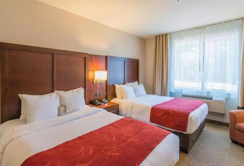 身障者適用スイートルーム, Comfort Suites Springfield Riverbend Medical