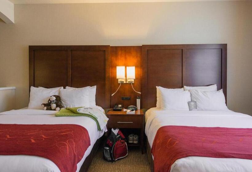 جناح لذوى الاحتياجات الخاصة, Comfort Suites Springfield Riverbend Medical