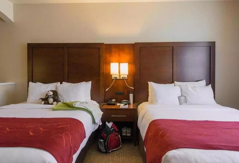 身障者適用スイートルーム, Comfort Suites Springfield Riverbend Medical
