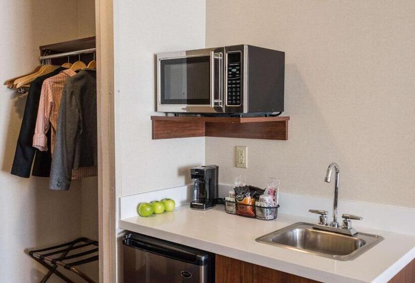 Люкс Адаптированный для Инвалидов, Comfort Suites Springfield Riverbend Medical