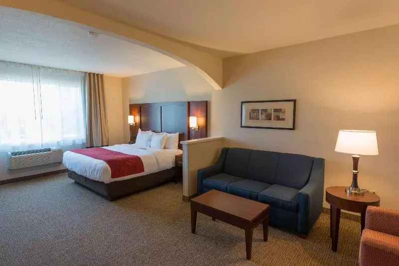 キングサイズベッドのスイートルーム, Comfort Suites Springfield Riverbend Medical