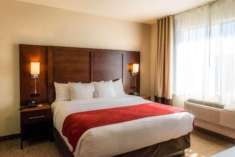 جناح سرير كينج, Comfort Suites Springfield Riverbend Medical
