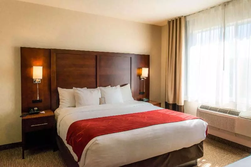 キングサイズベッドのスイートルーム, Comfort Suites Springfield Riverbend Medical