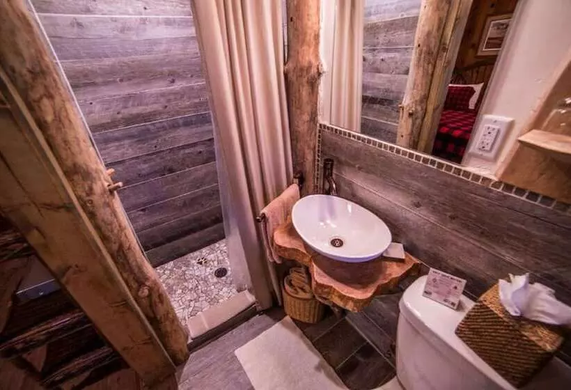 キングサイドベッドのスタンダードワンルーム, Cottage Inn At Lake Tahoe