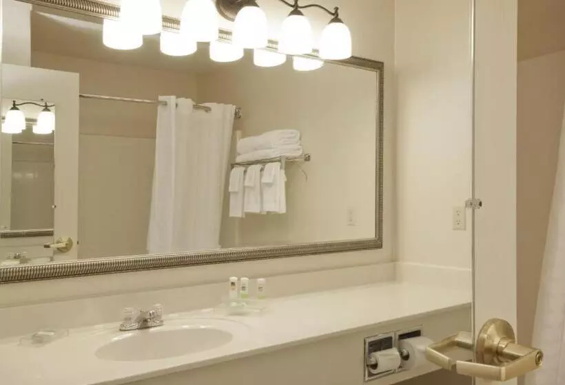 身障者適用スタンダードルーム, Country Inn & Suites By Radisson, Davenport, Ia