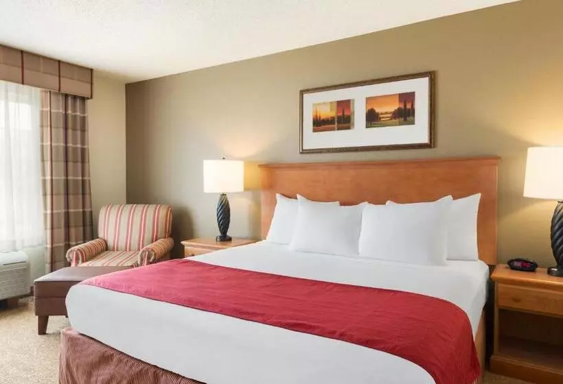 キングサイズベッドのスタンダードルーム, Country Inn & Suites By Radisson, Davenport, Ia