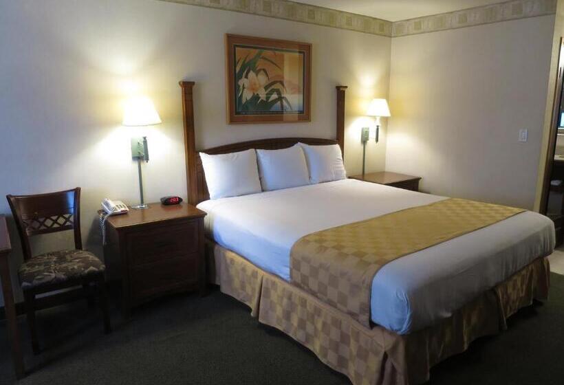 غرفة قياسية سرير كينج, Country Inn Ontario