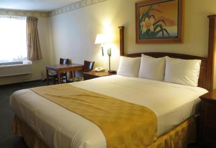 스탠다드 룸 킹사이즈 침대, Country Inn Ontario