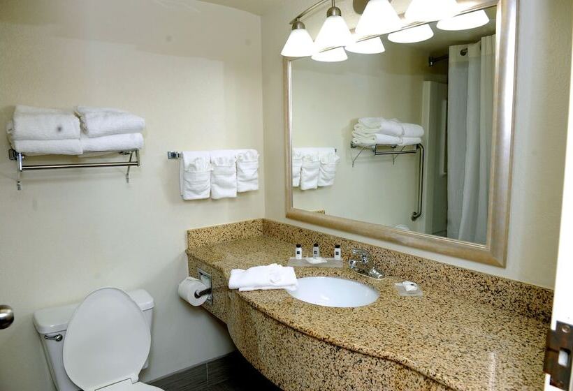 スイート, Country Inn & Suites By Radisson, Alpharetta, Ga