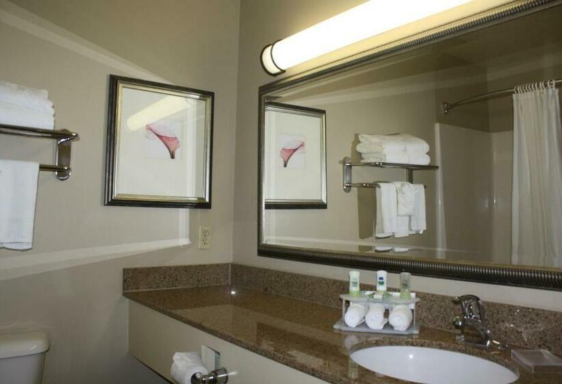 Стандартный Номер Кровать Кинг, Country Inn & Suites By Radisson, Asheville At Asheville Outlet Mall, Nc