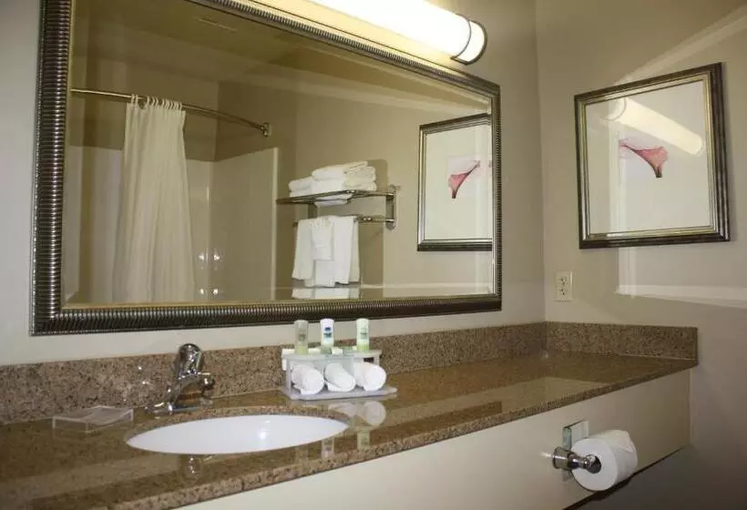 اتاق استاندارد با تخت بزرگ, Country Inn & Suites By Radisson, Asheville At Asheville Outlet Mall, Nc