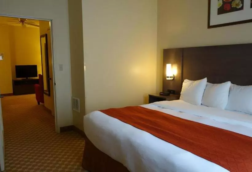 キングサイズベッドのスイートルーム, Country Inn & Suites By Radisson, Clinton, Ia
