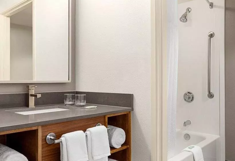Standard-huone 2 Parivuodetta, Courtyard Houston Sugar Land/stafford