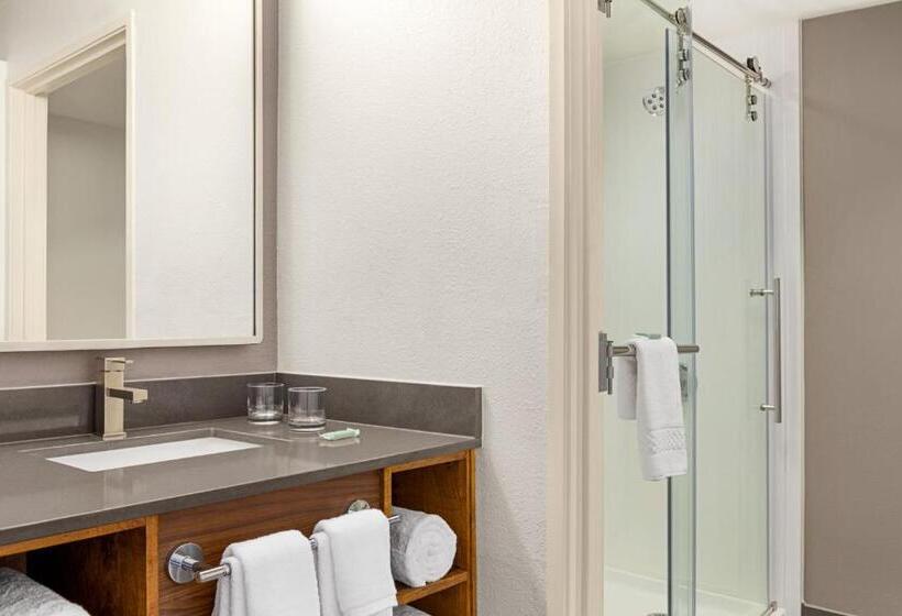 스탠다드 룸 킹사이즈 침대, Courtyard Houston Sugar Land/stafford