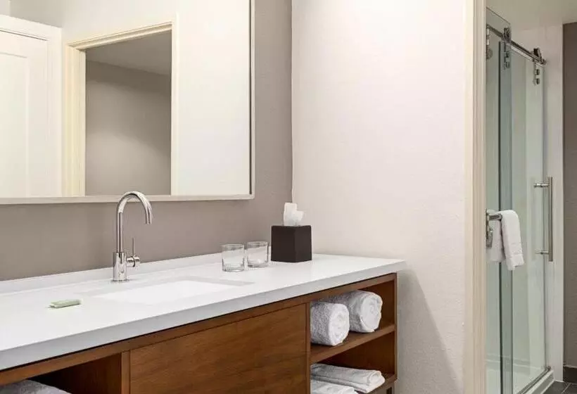 Sviitti King-vuode, Courtyard Houston Sugar Land/stafford