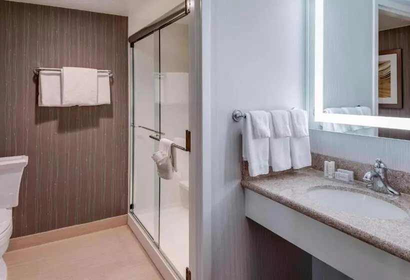 اتاق استاندارد با تخت بزرگ برای معلولان, Courtyard By Marriott Portsmouth