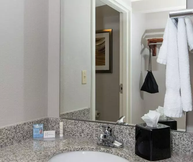 ２ダブルベッドのスタンダードルーム, Courtyard By Marriott Charlotte Lake Norman