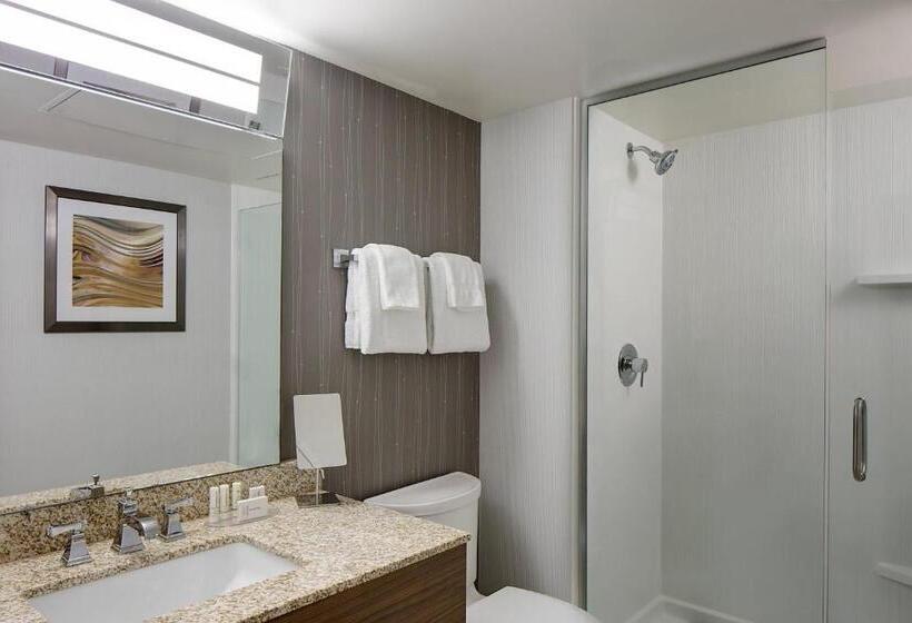 Люкс Кровать Кинг, Courtyard Grand Rapids Downtown