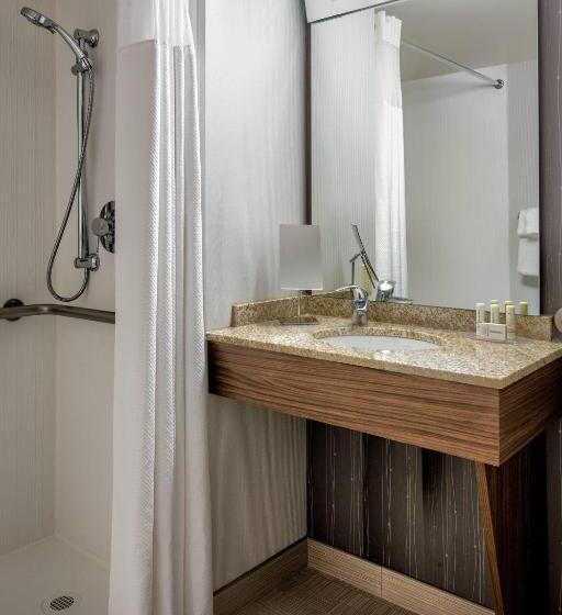 Номер Стандарт Кровать Кинг Адаптированный для Инвалидов, Courtyard Grand Rapids Downtown