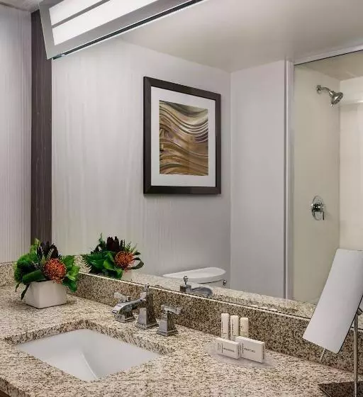 اتاق استاندارد با تخت بزرگ برای معلولان, Courtyard Grand Rapids Downtown