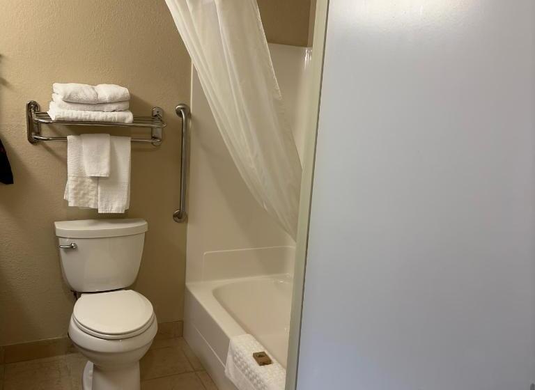 Стандартный Номер Кровать Кинг, Duluth Inn & Suites Near Spirit Mountain
