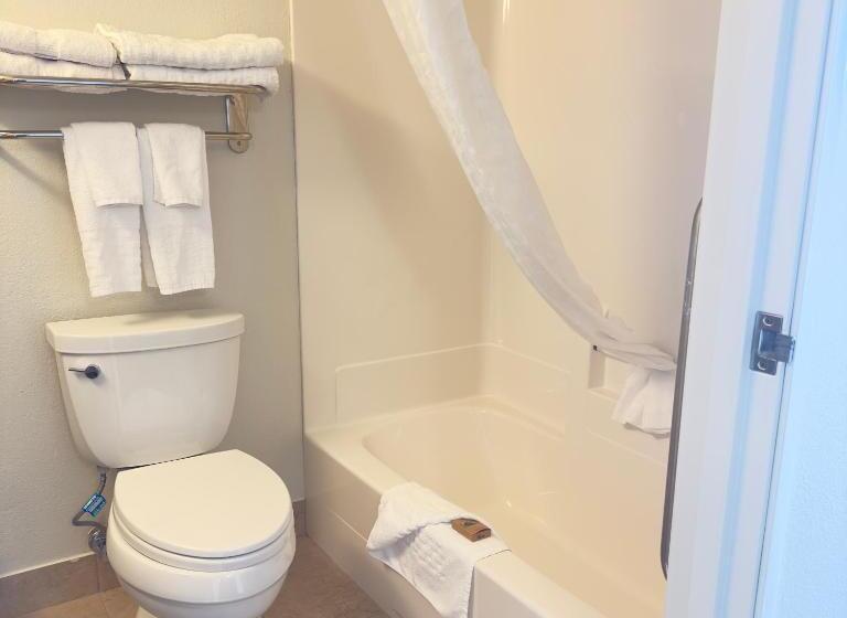 带大床的套房, Duluth Inn & Suites Near Spirit Mountain