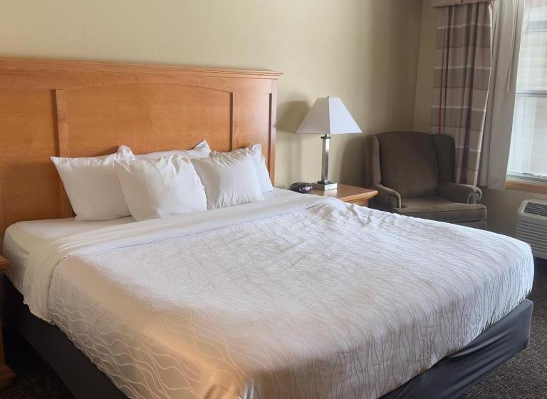 Люкс Адаптированный для Инвалидов, Duluth Inn & Suites Near Spirit Mountain