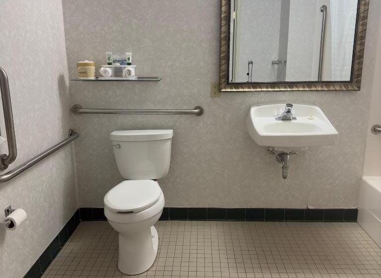 适合残疾人士使用的套间, Duluth Inn & Suites Near Spirit Mountain