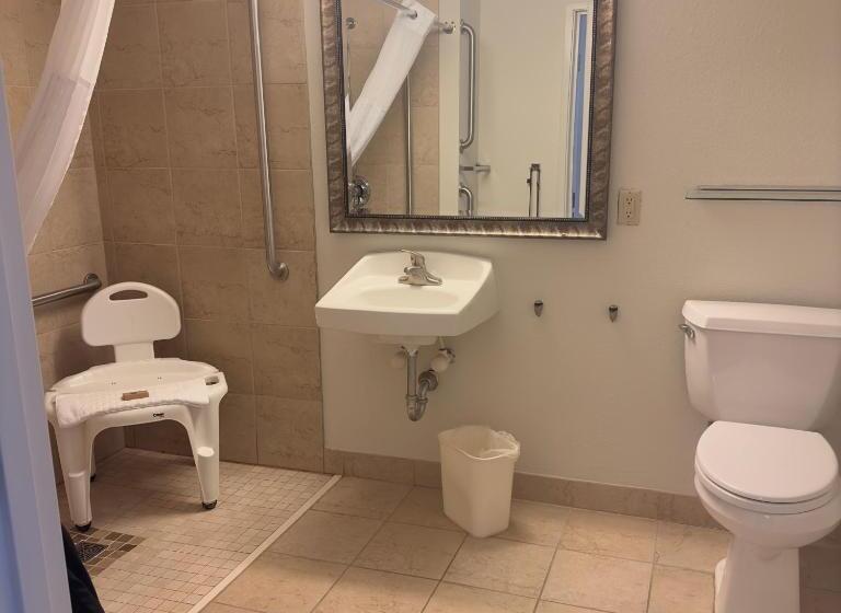 Номер Стандарт Адаптированный для Инвалидов, Duluth Inn & Suites Near Spirit Mountain