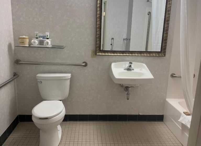 适合残疾人使用的标准间, Duluth Inn & Suites Near Spirit Mountain