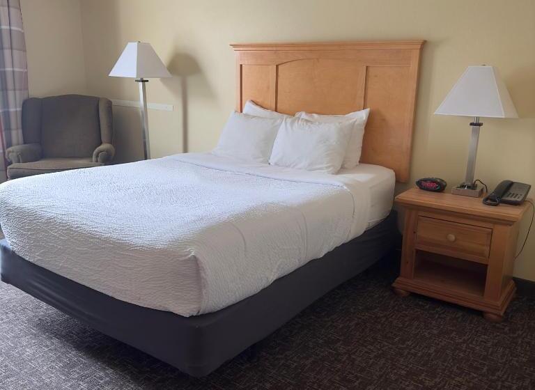 Номер Стандарт Адаптированный для Инвалидов, Duluth Inn & Suites Near Spirit Mountain