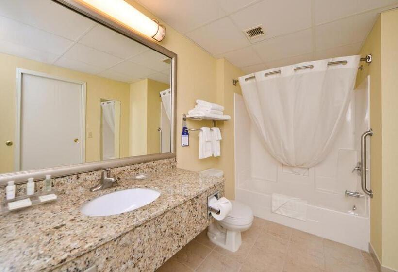 适合残疾人士使用的套间, Duluth Inn & Suites Near Spirit Mountain