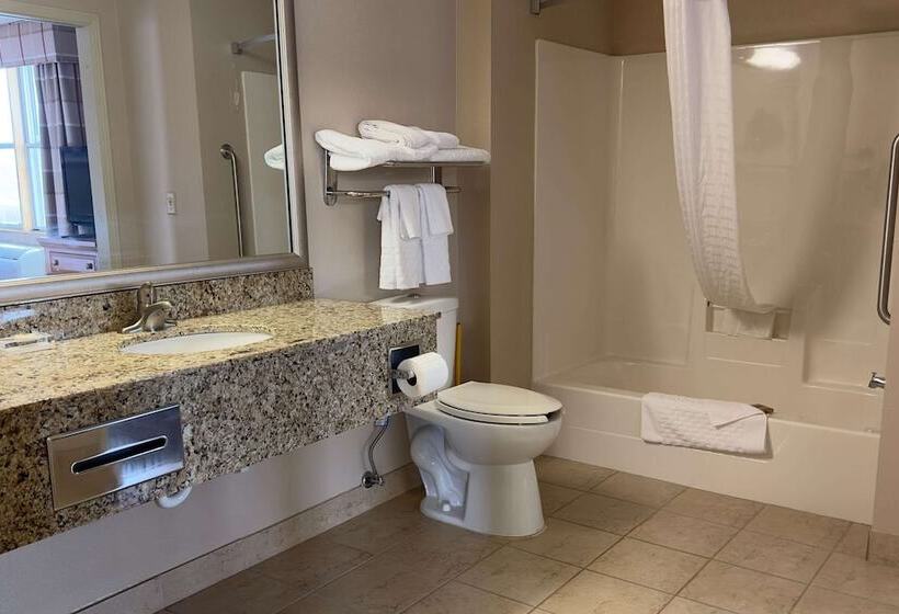 适合残疾人士使用的套间, Duluth Inn & Suites Near Spirit Mountain