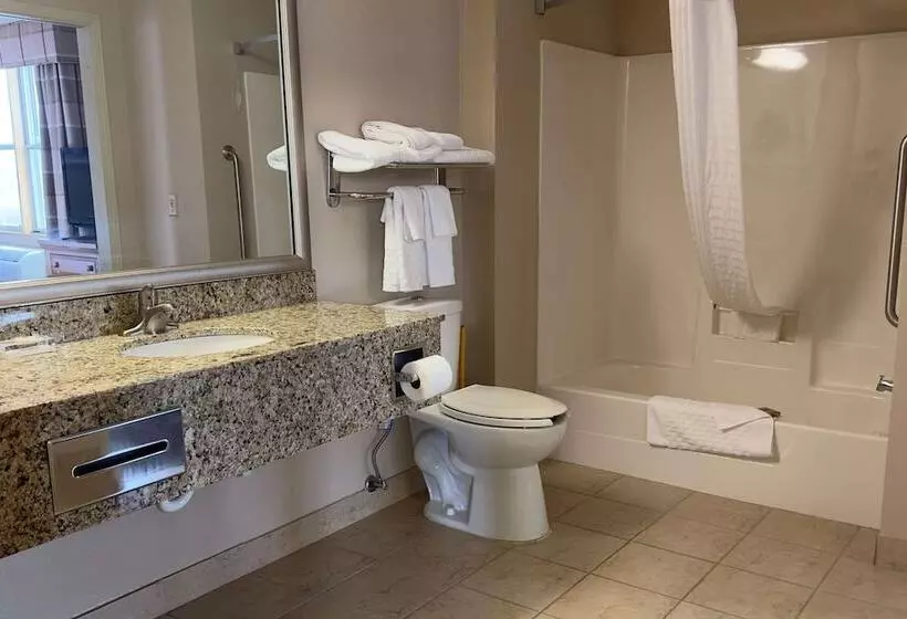 Sviitti Liikuntarajoitteisille, Duluth Inn & Suites Near Spirit Mountain