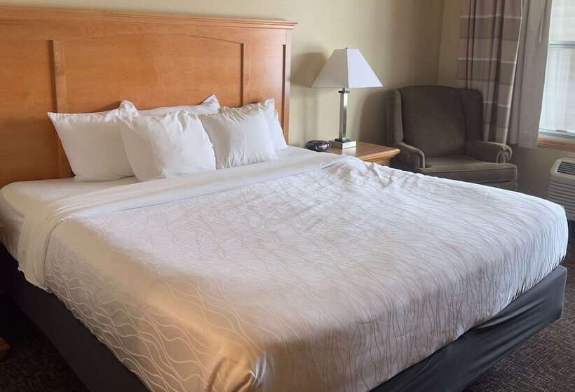 适合残疾人士使用的套间, Duluth Inn & Suites Near Spirit Mountain