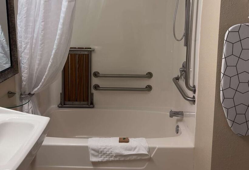 适合残疾人士使用的套间, Duluth Inn & Suites Near Spirit Mountain