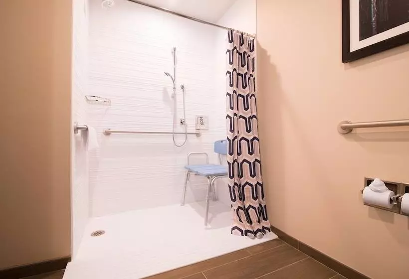 اتاق استاندارد, Fairfield Inn & Suites By Marriott New Orleans Downtown/french Quarter Area