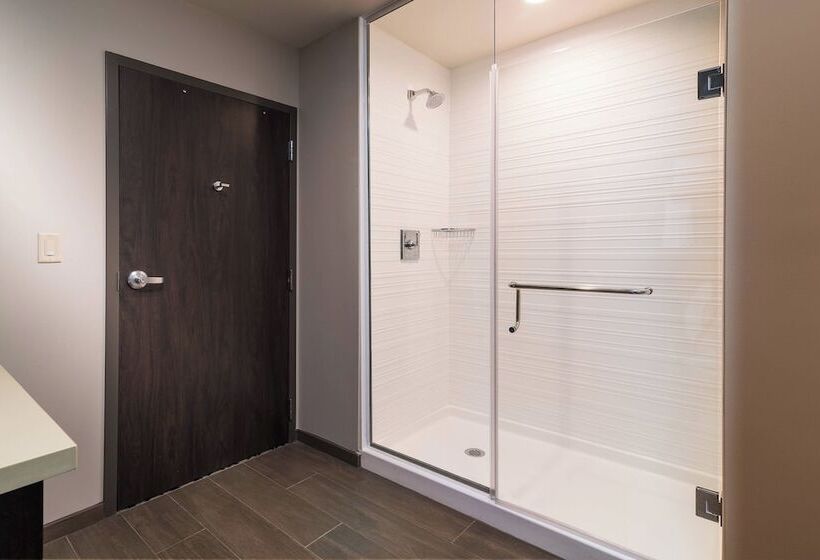 اتاق استاندارد, Fairfield Inn & Suites By Marriott New Orleans Downtown/french Quarter Area