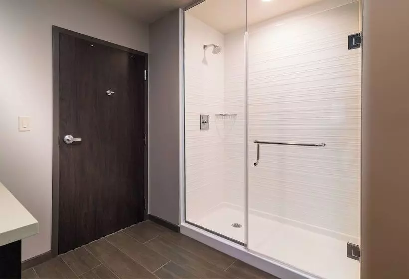 اتاق استاندارد, Fairfield Inn & Suites By Marriott New Orleans Downtown/french Quarter Area