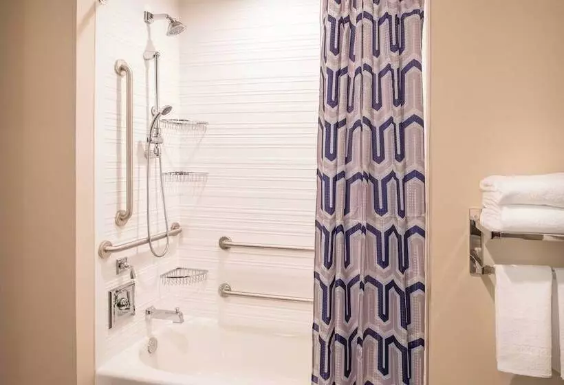اتاق استاندارد, Fairfield Inn & Suites By Marriott New Orleans Downtown/french Quarter Area