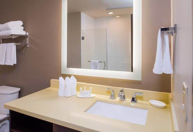 اتاق استاندارد, Fairfield Inn & Suites By Marriott New Orleans Downtown/french Quarter Area