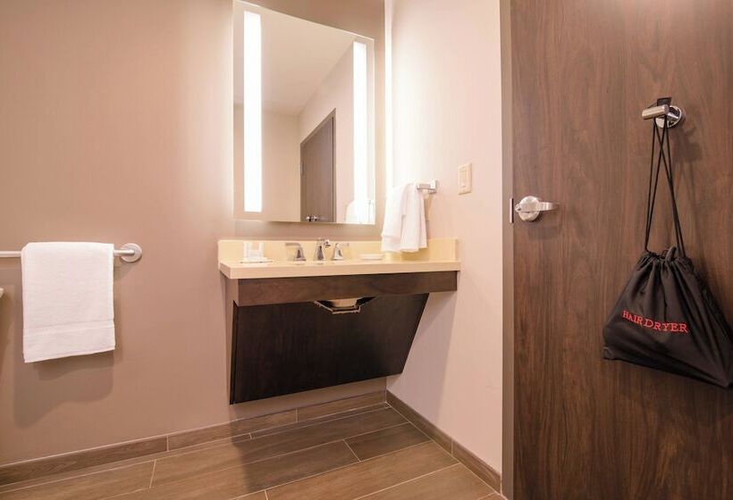 חדר סטנדרט, Fairfield Inn & Suites By Marriott New Orleans Downtown/french Quarter Area